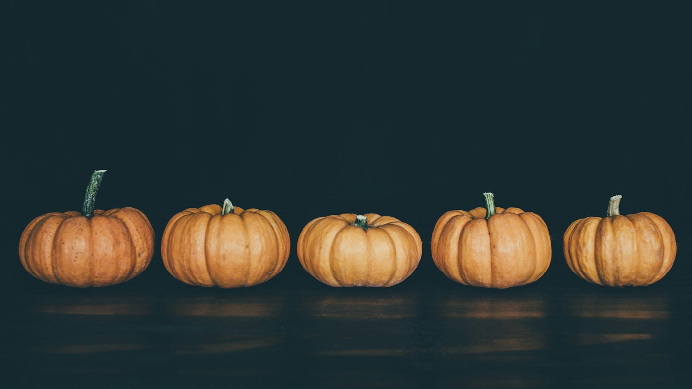 Five small burnt orange pumpkins in a row on a dark wood table against a deep teal wall