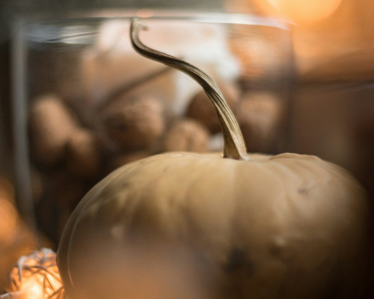 Close-up of a pale cream pumpkin with a long curly stem, a glass of walnuts and soft glowing lights behind it