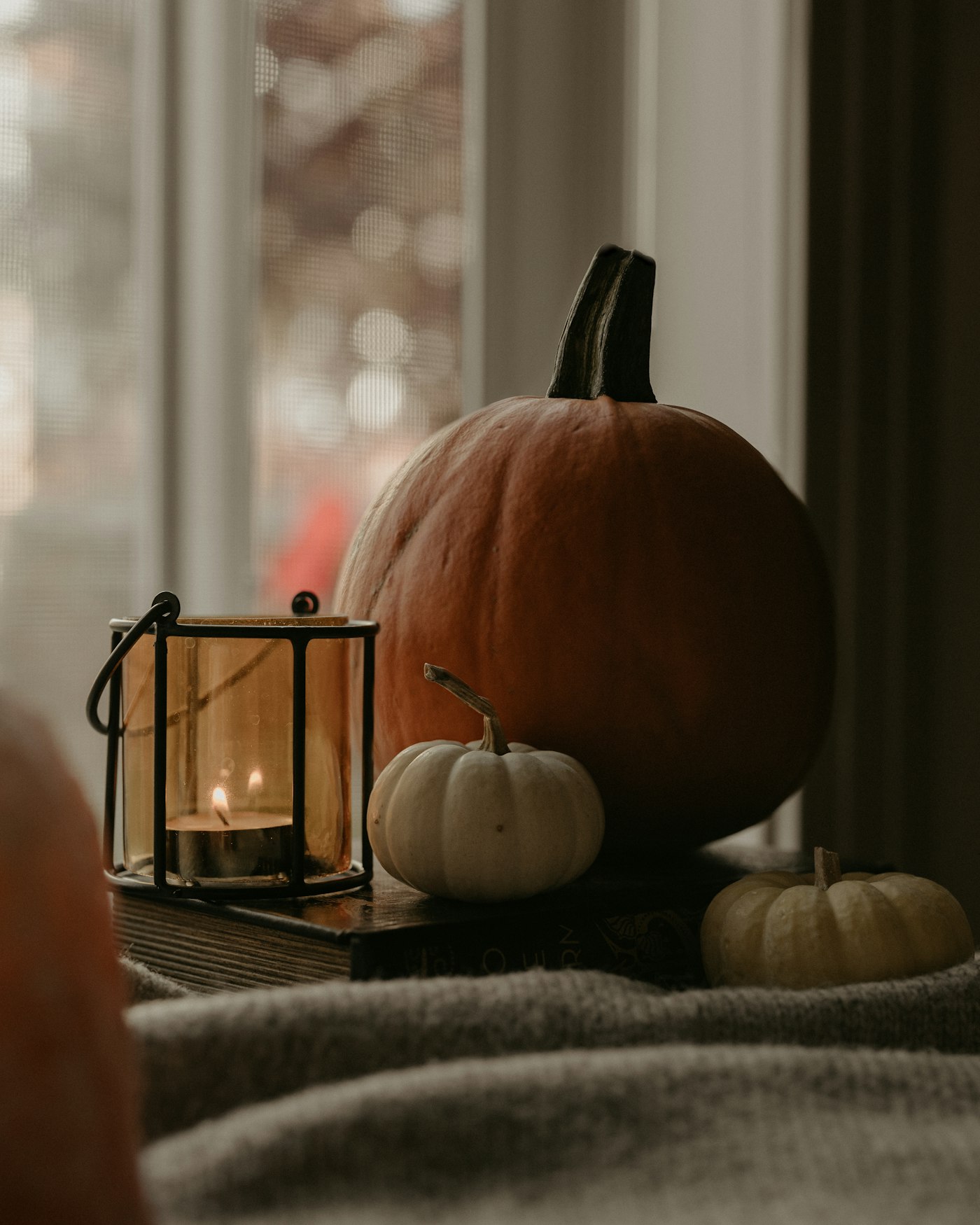 A tealight glowing in an amber glass lantern beside a big orange pumpkin and two small white pumpkins, a gray knit blanket in front and a window behind