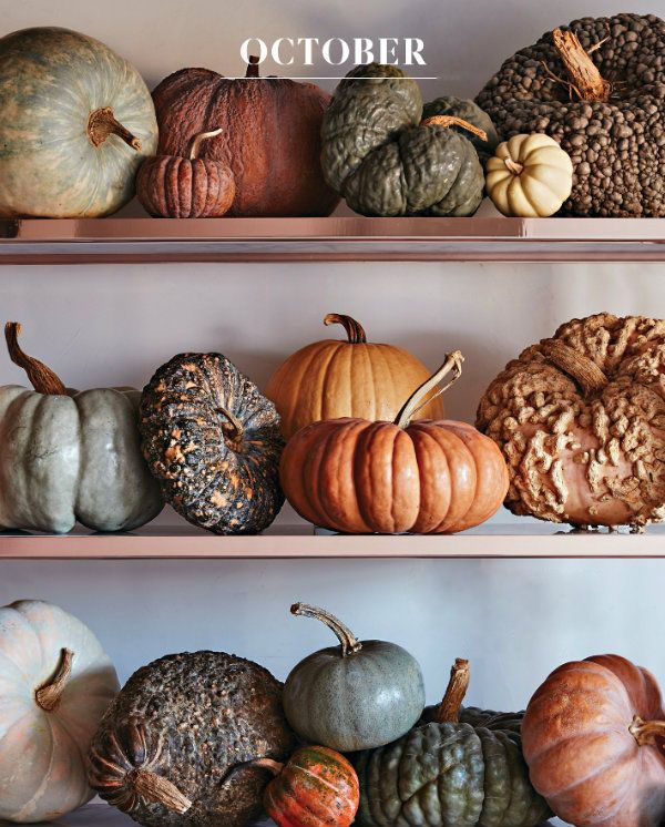 Open shelves lined with muted heirloom pumpkins in rust, sage, cream and blue-gray